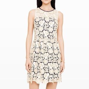 Club Monaco Floral Lace Mini Dress in Cream
